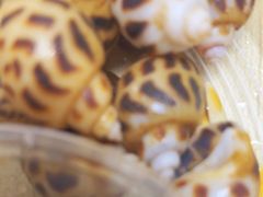 -黑牛码头·小龙虾·烧烤