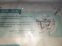 -深圳湾公园(南山区)