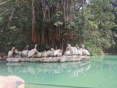-珠海长隆海洋王国