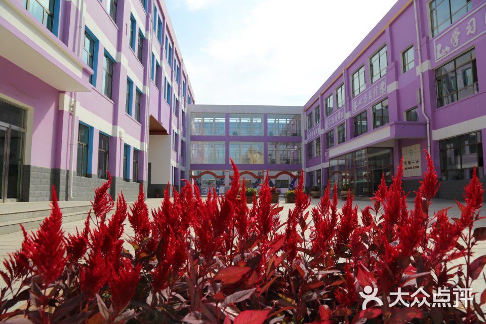 包钢一小图片 - 第6张