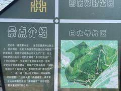 -白水寺森林公园
