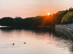 -海珠湖公园