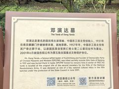 -灵谷景区