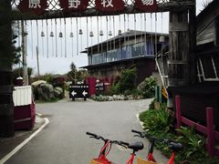 原野牧场-原野牧场