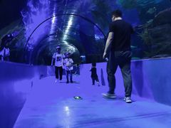 -台州海洋世界