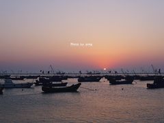 -枸杞岛