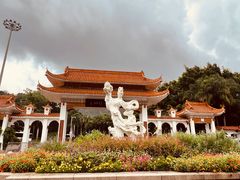 -深圳仙湖植物园