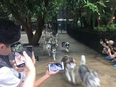 -TrueLove @ Neverland (Husky Cafe)