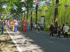 -黄海国家森林公园