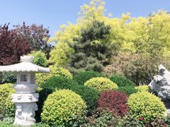 -华莱士·全鸡汉堡(五爱道店)