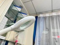 -蕾特恩专业祛痘