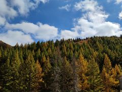 -苏木山森林公园