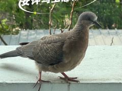 -上海交通大学(闵行校区)