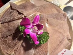 -小龙坎火锅(全球旗舰店)