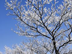 -东天目山风景区