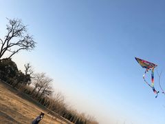 -汉长安城未央宫国家考古遗址公园