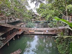 -海南槟榔谷黎苗文化旅游区
