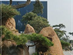 -罗红摄影艺术馆