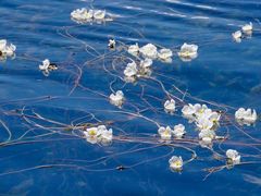 -丽江泸沽湖景区