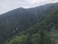 -牛背梁国家森林公园