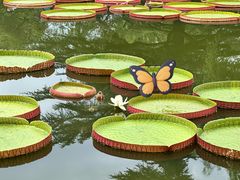 -国家植物园南园