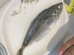 -陆记鹅庄·潮汕菜·狮头鹅(大仟里店)