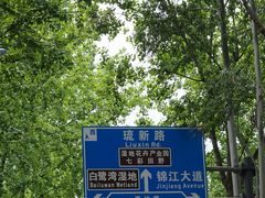 -白鹭湾湿地公园