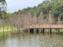 -神光山国家森林公园