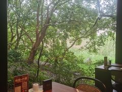 -长兴太湖图影湿地文化园