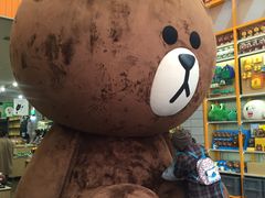 -line friends(明洞旗舰店)