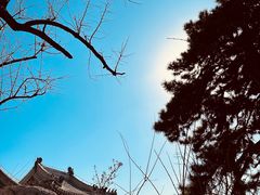 -潭柘寺景区