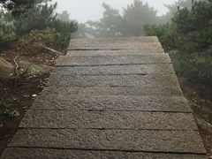 -宜城私房菜.臭鳜鱼(九华新街店)