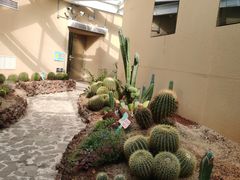 -正佳雨林生态植物园