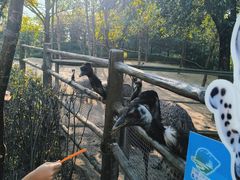 -青藏高原野生动物园