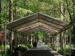 -东平国家森林公园