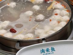 -鱼粤鲜淘米捞·中山脆肉鲩火锅(悦湖会店)