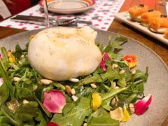 曼切格芝士菠菜蘑菇沙拉-TOMATITO(无限极荟店)