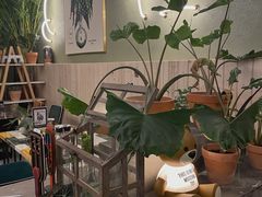 -PlantsEatery·植物食堂(REX春熙店)