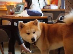 -餐酒吧Com-ing Bar(上海路店)