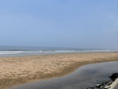 -日照海滨国家森林公园