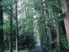 -上海怡沁园度假酒店