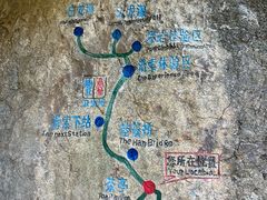 -大鄣山卧龙谷景区