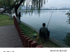 -东湖落雁景区