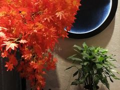 -先机®·泉水鸡汤(七星岗店)