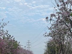 -广东花都湖国家湿地公园