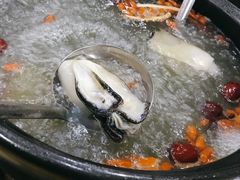 -濠轩阁特色生蚝火锅(水湾路店)