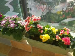 -三圣花乡旅游区