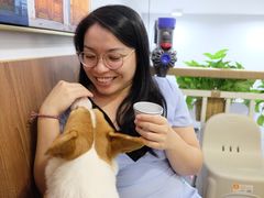 -柯斗斗主题餐厅·狗咖·围炉煮茶·茶饮(国瑞升平里店)