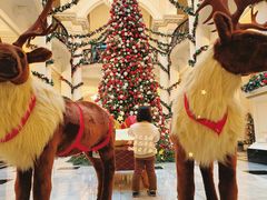 -Salon de Ville浦江汇(上海外滩华尔道夫酒店店)