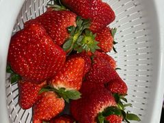 -江杨农产品批发市场